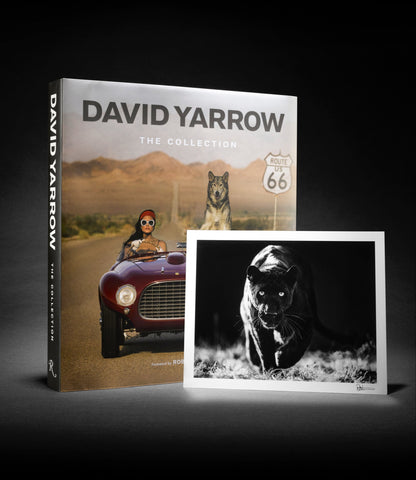 David Yarrow: The Collection