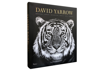 David Yarrow