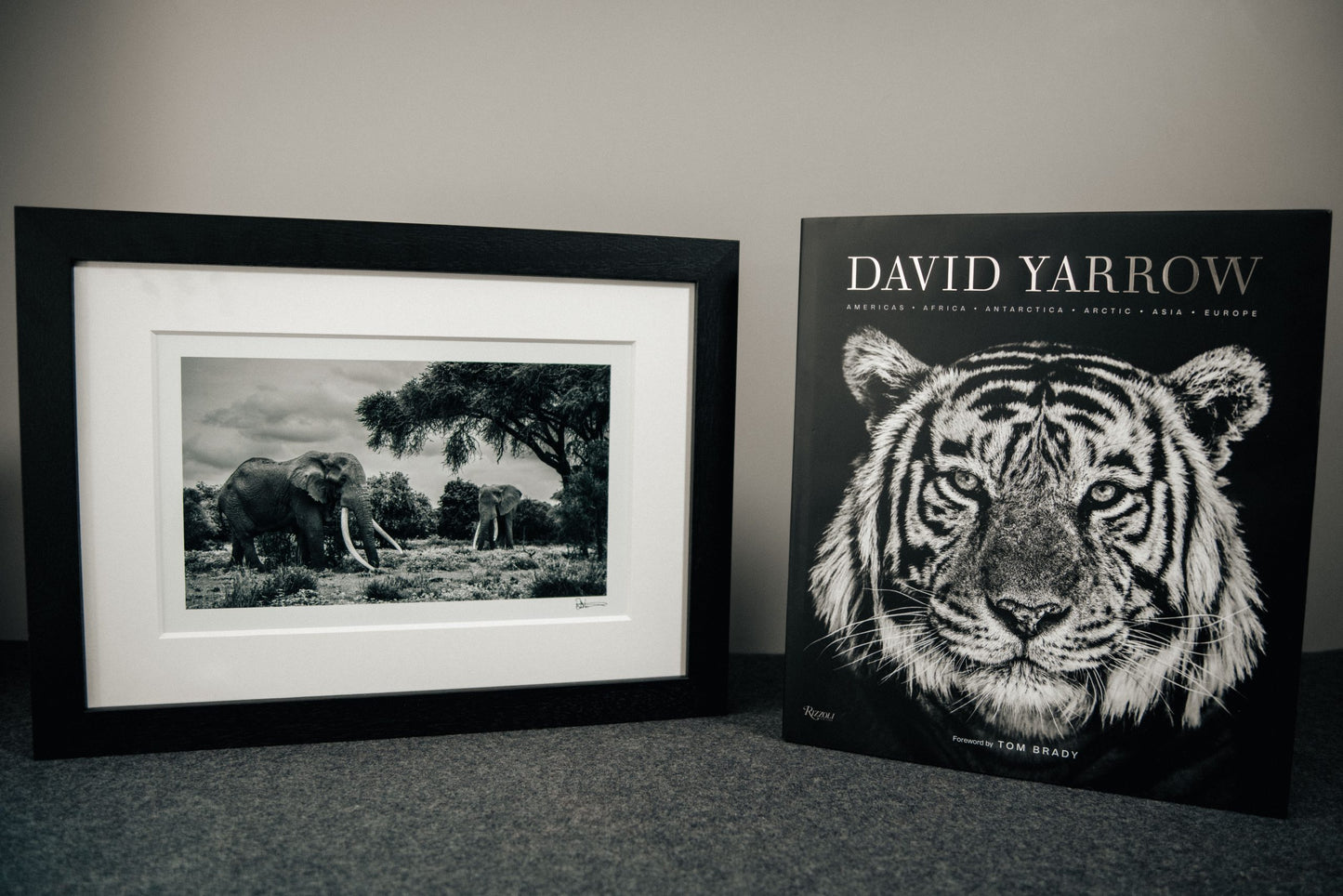 David Yarrow