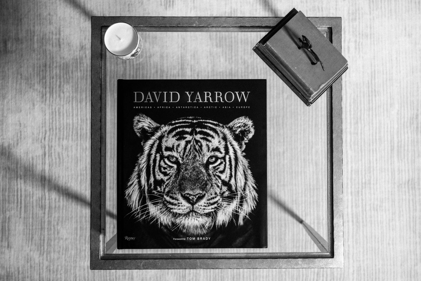 David Yarrow